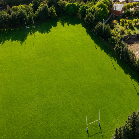 Rugby verde 2